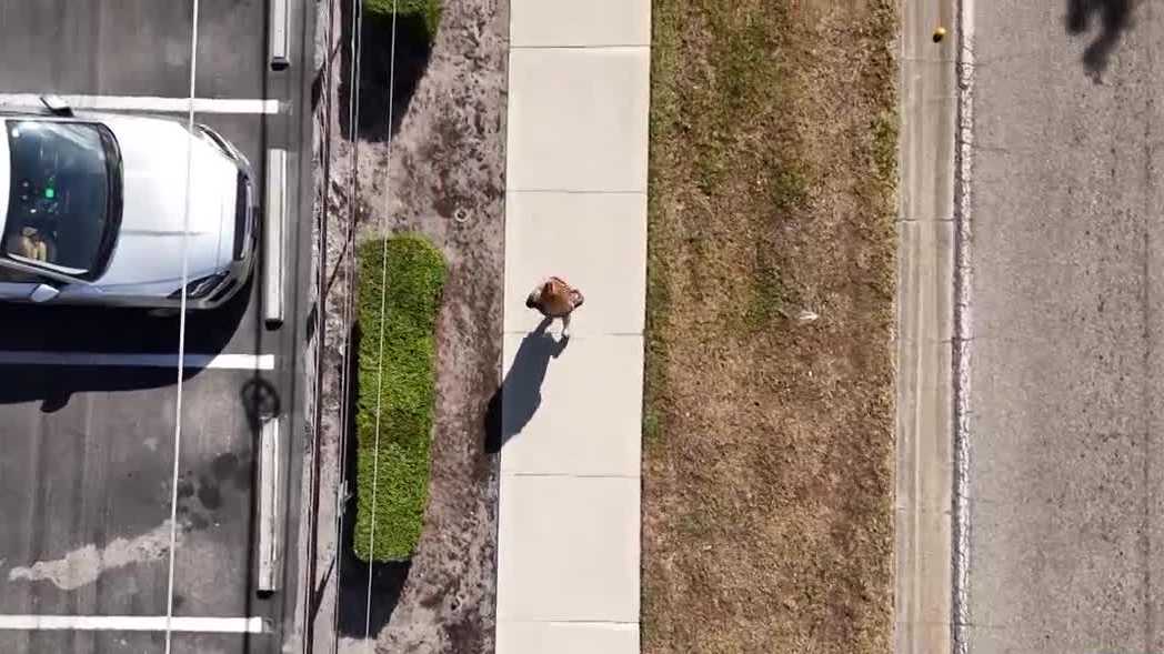 Sidewalks are coming to Southwest Florida — but will they be on your block?