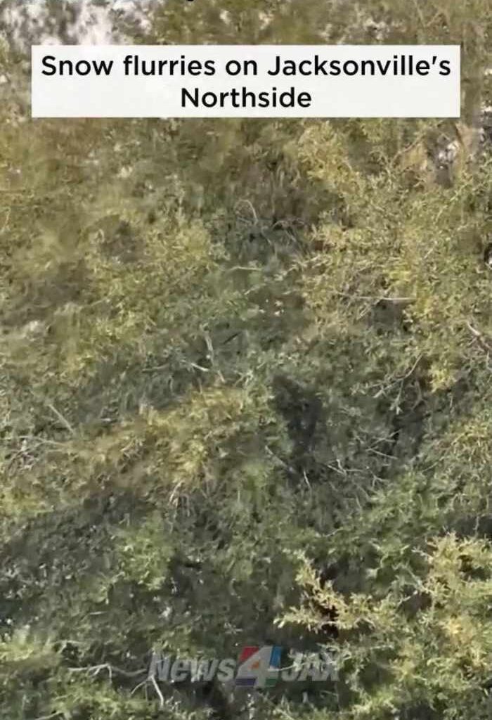 Snow flurries on Jacksonville's Northside