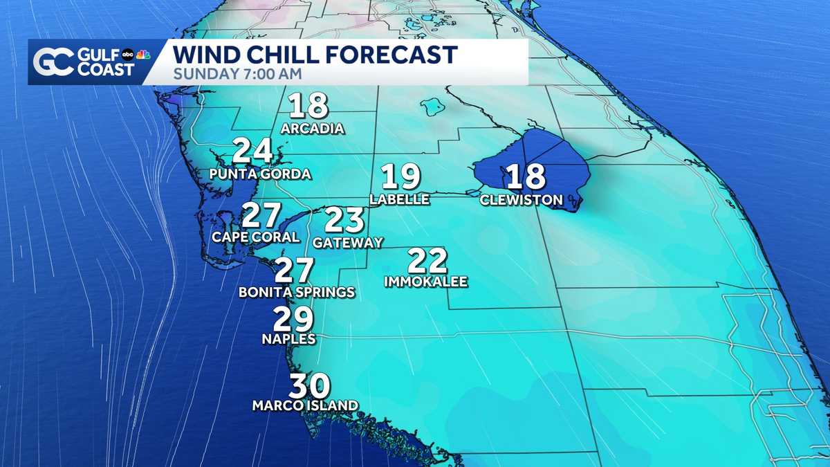 Coldest air of the decade pushing into Southwest Florida; Snow flurries possible