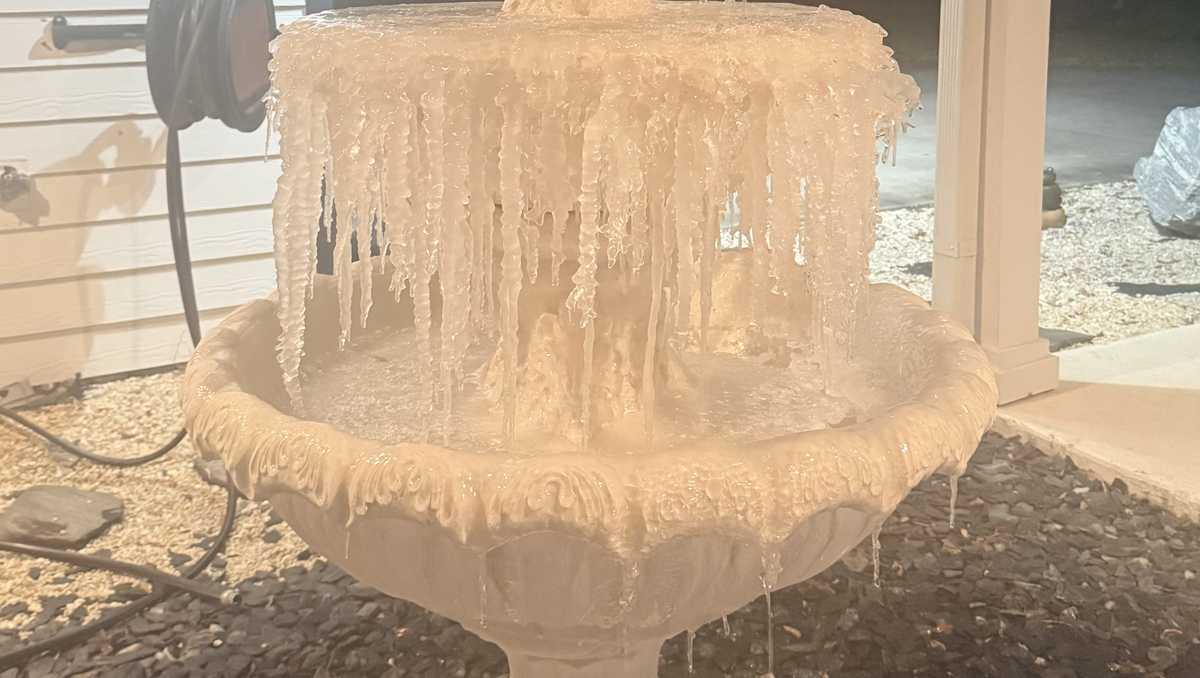 It was so cold in Central Florida on Sunday morning, it broke records