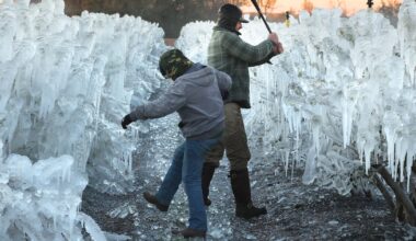 More winter weather leads to heavy snow, canceled flights and, in Florida, falling iguanas