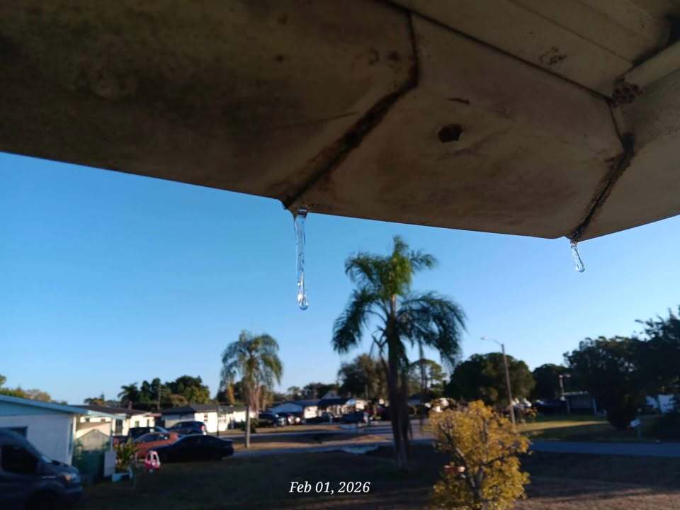 Icicle in Lehigh Acres