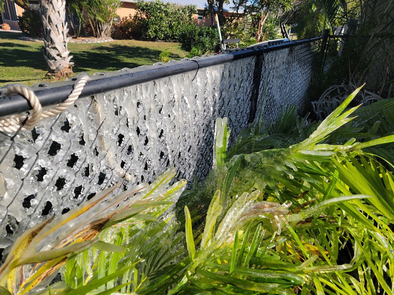 Frozen fence in Okeechobee