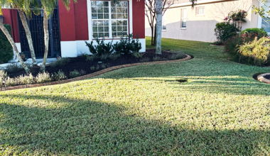 Forever Green Lawn And Pest Control Grows On Four Decades Of Customized, Quality Care