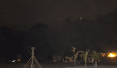 Rare Snow Flurries Sprinkle Southwest Florida Amid Freeze Warning