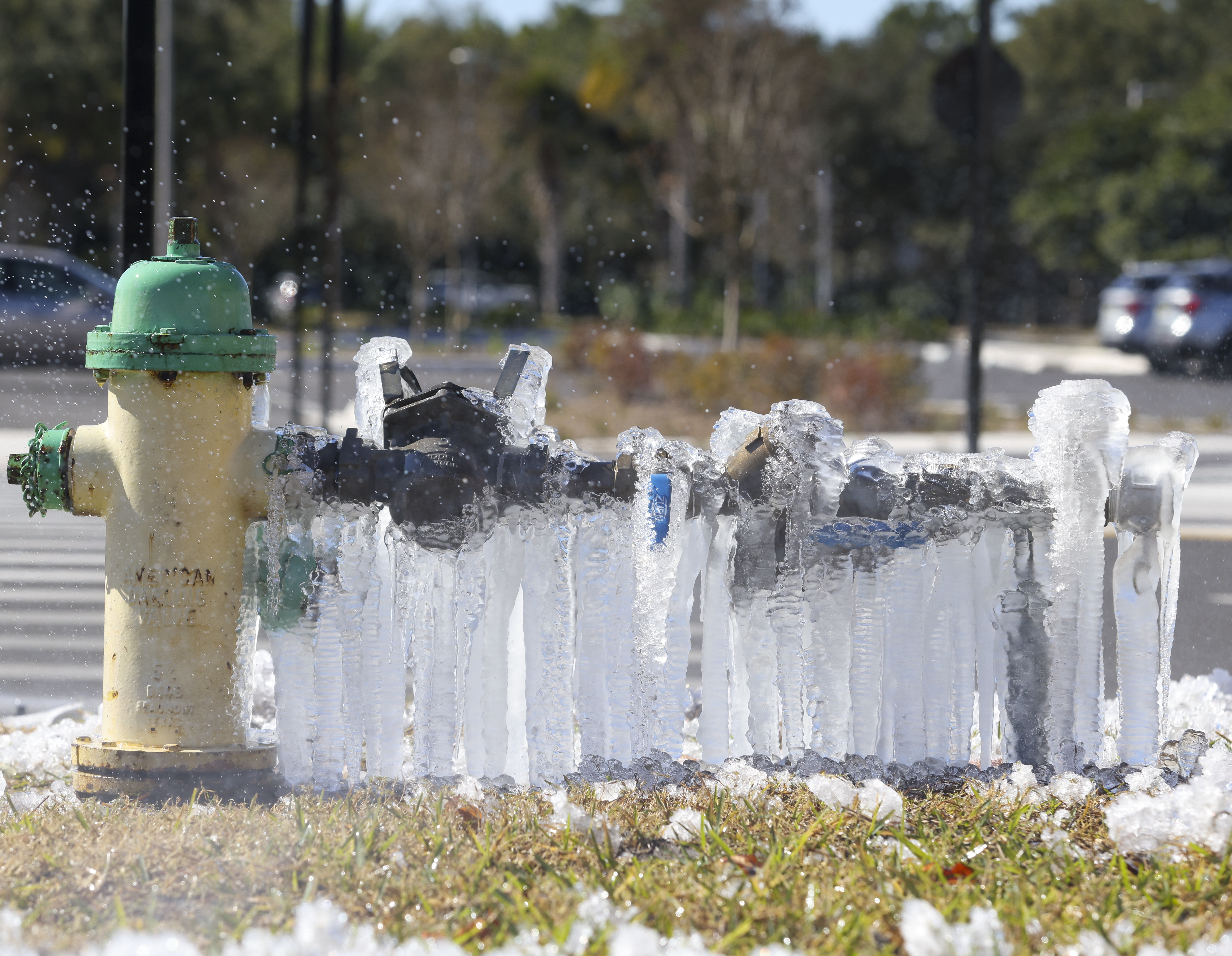 Irrigation pipes are covered in ice on the UCF campus...