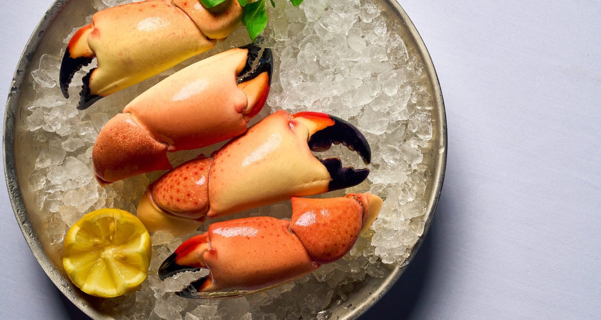 Catch & Cut | Restaurants in Fort Lauderdale
