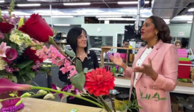 Jacksonville flower shop shares tips to make a beautiful bouquet for Valentine's Day