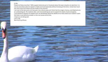 Internal emails reveal Orlando’s behind‑the‑scenes handling of Lake Eola swan flu outbreak