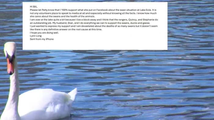Internal emails reveal Orlando’s behind‑the‑scenes handling of Lake Eola swan flu outbreak
