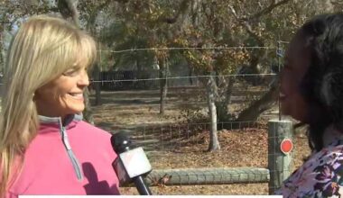 Local woman bakes cupcakes for firefighters amid Putnam County brush fires