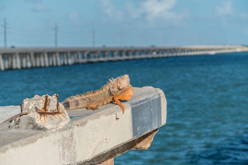 Is it Going to be Cold Again?