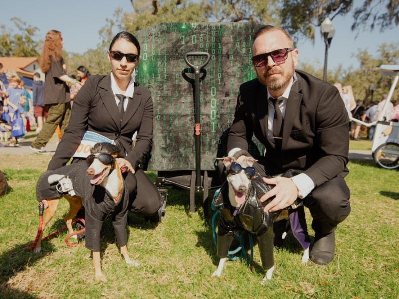 Like Woodstock for dogs, Paws in the Park takes over Lake Eola this weekend