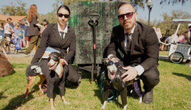 Like Woodstock for dogs, Paws in the Park takes over Lake Eola this weekend