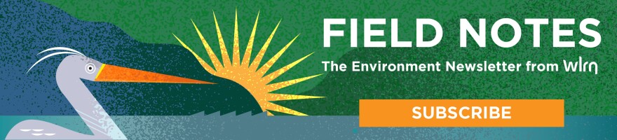 Field Notes: The environment newsletter from WLRN. Subscribe