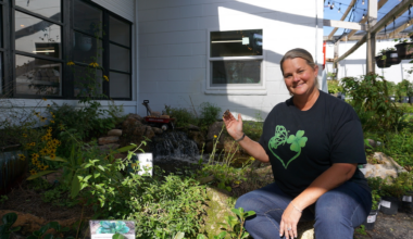 Butterfly Ball supports pollinators in Tampa next week