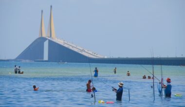 Potentially dangerous levels of 'forever chemicals' found across Tampa Bay region