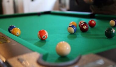 Bark Haven’s “PAWSitively in Love” brings Valentine’s Day fun for couples, friends and dogs