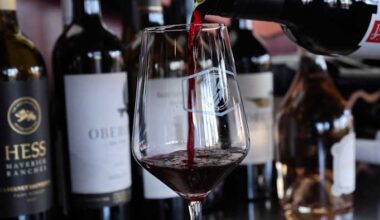 Museum of Illusions + Wine for $59.99