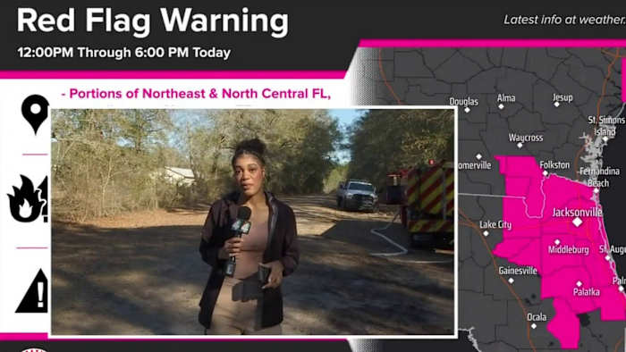 Red Flag Warning issued for Northeast Florida as wildfire danger rises. Here are some safety tips