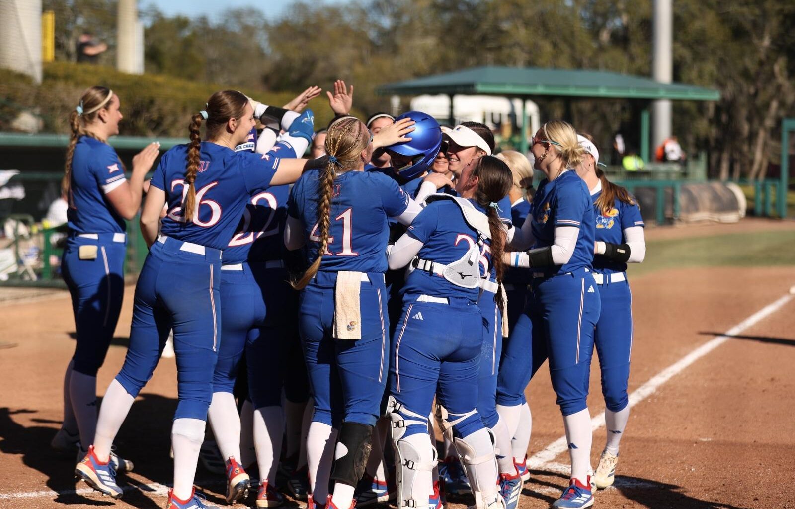 University of South Florida Logo