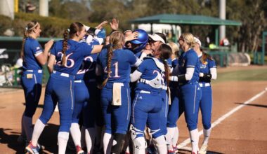 University of South Florida Logo