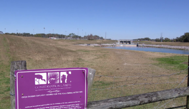 Severe drought conditions prompt a 'Stage 2 Drought Warning' for Tampa Bay area