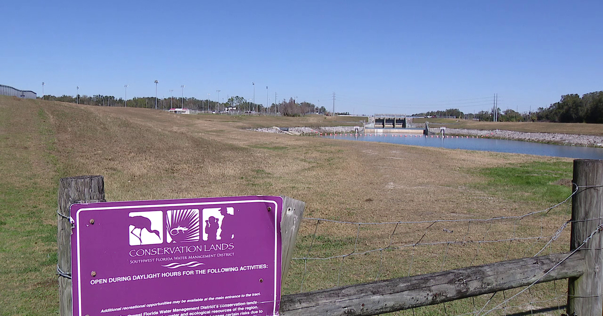 Severe drought conditions prompt a 'Stage 2 Drought Warning' for Tampa Bay area