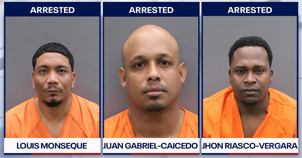 Tampa home burglaries net over $137K in stolen property, illegal immigrants arrested: HCSO