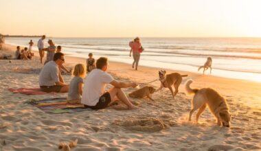Why jacksonville is america’s new pet capital: the best dog parks, dining & beaches that will blow your mind!