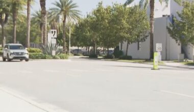 Suspect in custody after crashing vehicle following domestic dispute