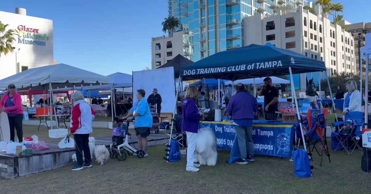 Tampa Bay's Bark in the Park event celebrates 49 years of helping animals in need