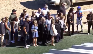 Horse Killed at Tampa - But Let's Celebrate Anyway!