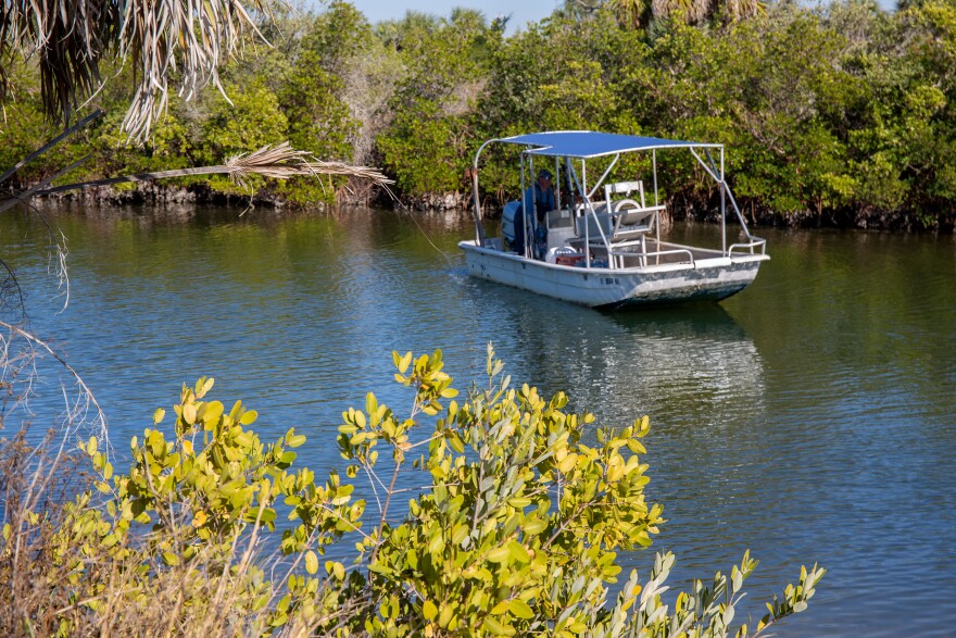 21-foot white and blue Carolina skiff boat on the water. The foreground is framed with green foliage and mangroves are rooted in the background. 
