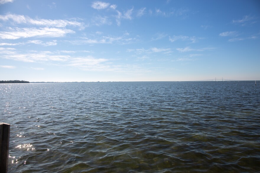 A stretch of clear, blue ish water against a cloudless sky. To left in the distance is a preserve, and to the right is the Sunshine Skyway.
