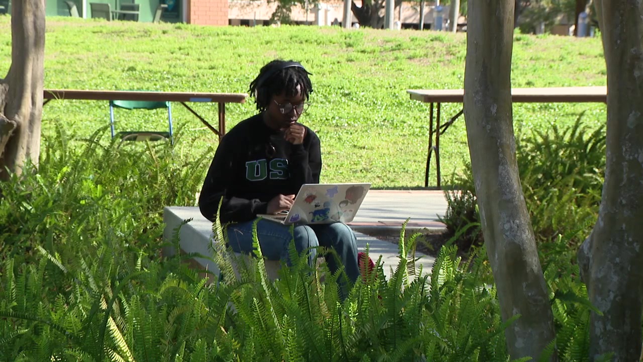 New Florida bill aims to slash out-of-state enrollment at state universities