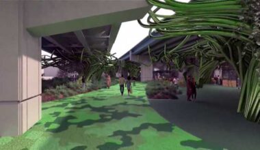 Church Street business anticipates boost from ‘The Canopy’