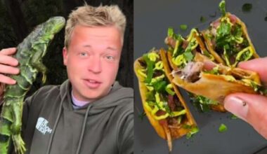 Florida man reveals recipe for iguana tacos in viral TikTok video