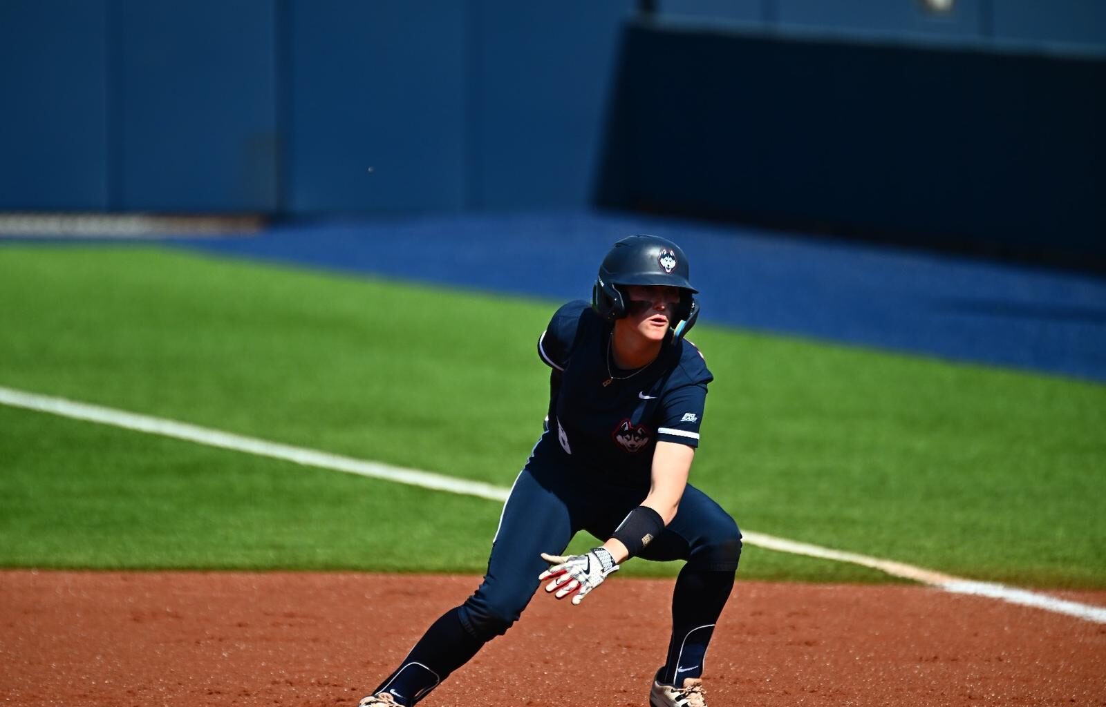 University of Akron Logo