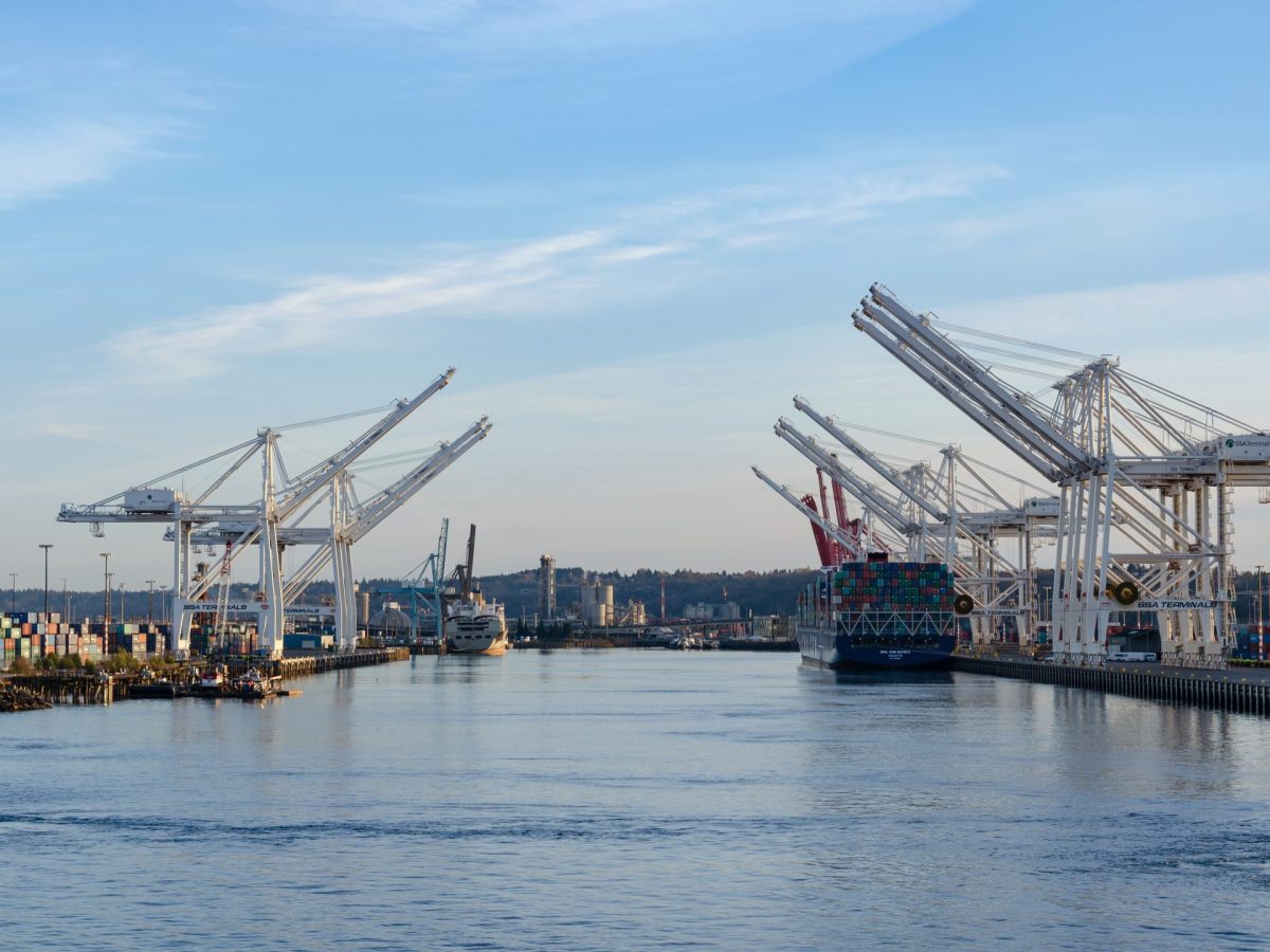 The company proposing a new cruise port in Tampa Bay has a history of violating environmental laws