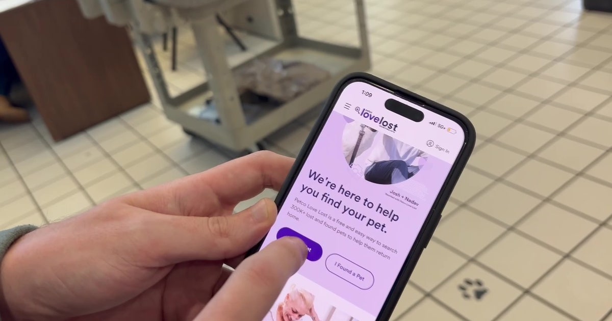 Pinellas County uses AI facial recognition to reunite lost pets with families via Petco Love Lost