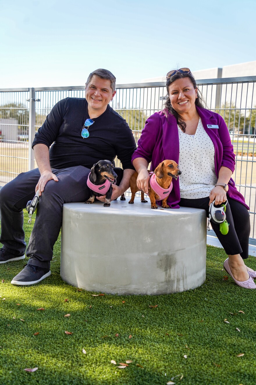 A man and a woman sit with two small dogs 