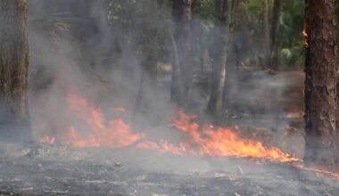 Dry weather fuels fire danger across Central Florida