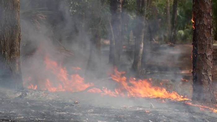 Dry weather fuels fire danger across Central Florida