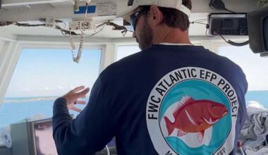 Volusia anglers celebrate potential longer Florida Atlantic red snapper season after years of restrictions