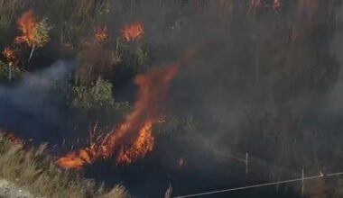 Officials and land owners concerned about severe drought conditions in Miami-Dade and Broward County