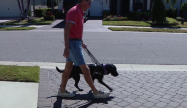 Mix of art and science matches Dogs Inc. guide dogs with their owners