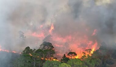 Florida wildfire dangers persist — Here's how to reduce your risk