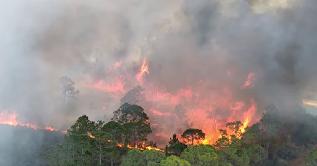 Florida wildfire dangers persist — Here's how to reduce your risk