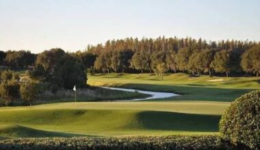 Top senior amateur golfers compete in Florida